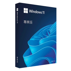 Windows 11 Pro 專業版 中文版 盒裝